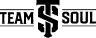 Customer logo